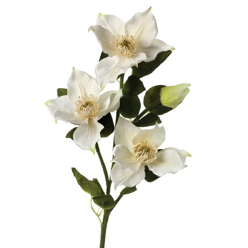 Helleborus Flowers With Bud Spray 20"