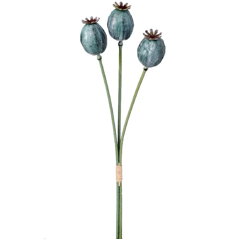 Poppy Pod Spray 20"