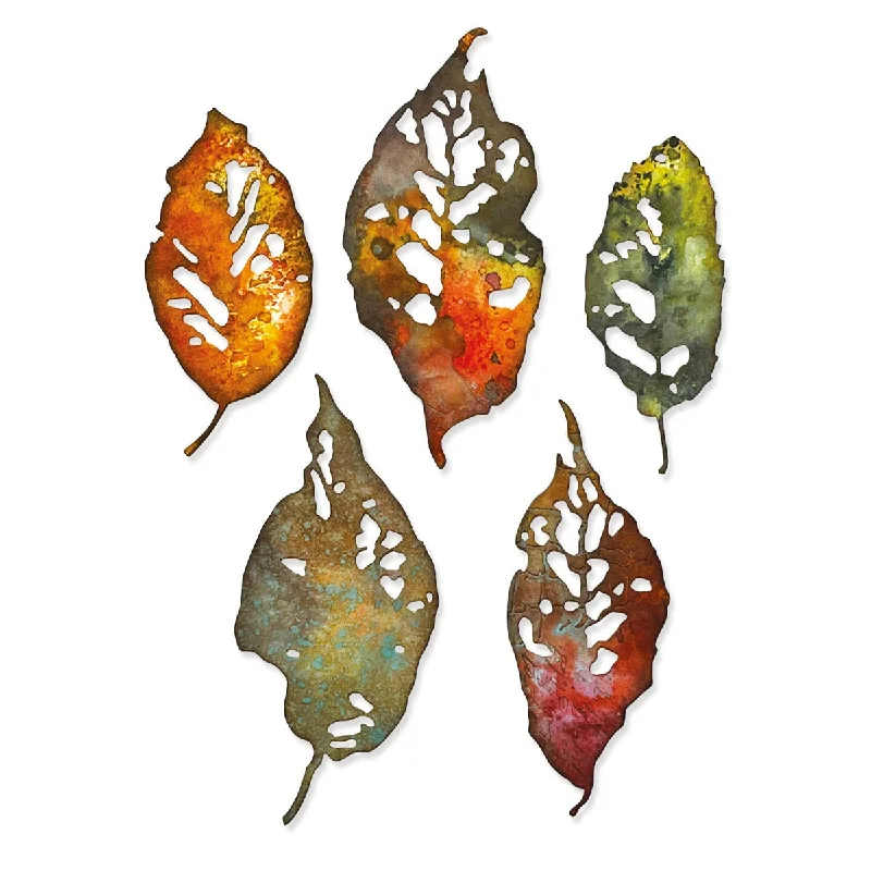 Sizzix Thinlits Die Set 5PK - Leaf Fragments by Tim Holtz