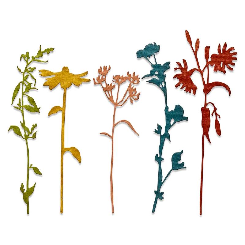 Sizzix Thinlits Die Set 5PK - Wildflower Stems #3 by Tim Holtz