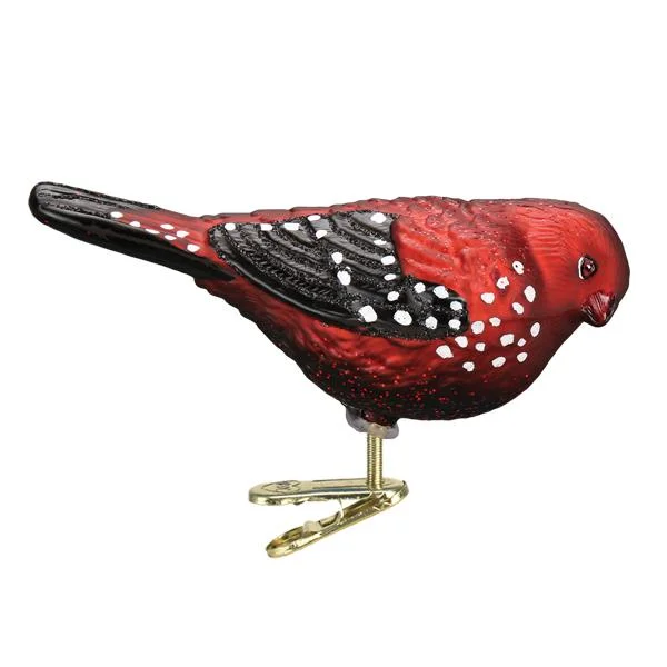 Strawberry Finch Ornament - Old World Christmas